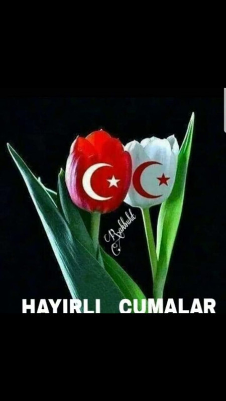 resim