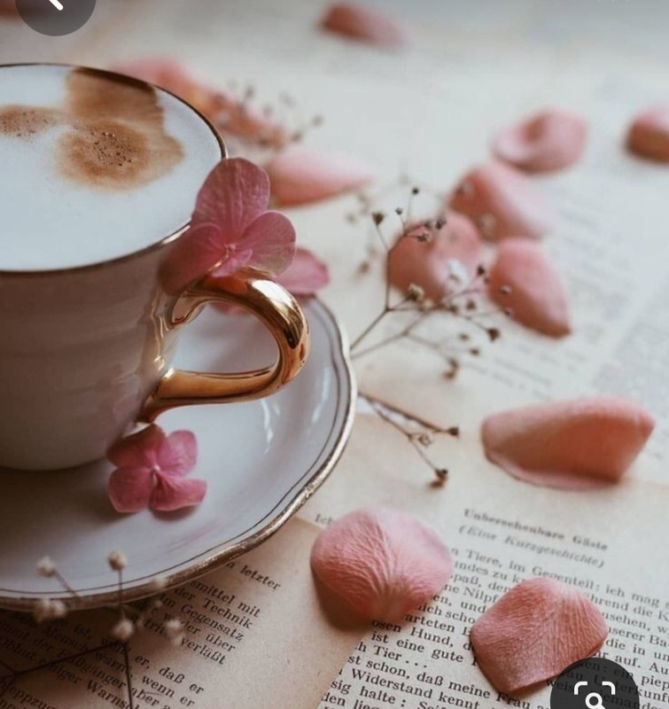 Screenshot_20240424_230421_Pinterest