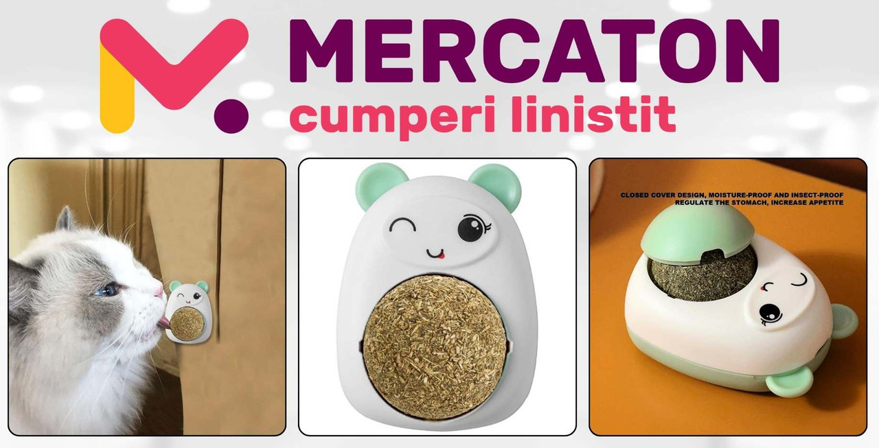 Set 3 Jucarii Mercaton pentru Pisicute, Model Ursulet, Minge Rotativa 360° din Iarba Catnip, 6 cm, Verde - Pachete Promotionale - Mercaton Store