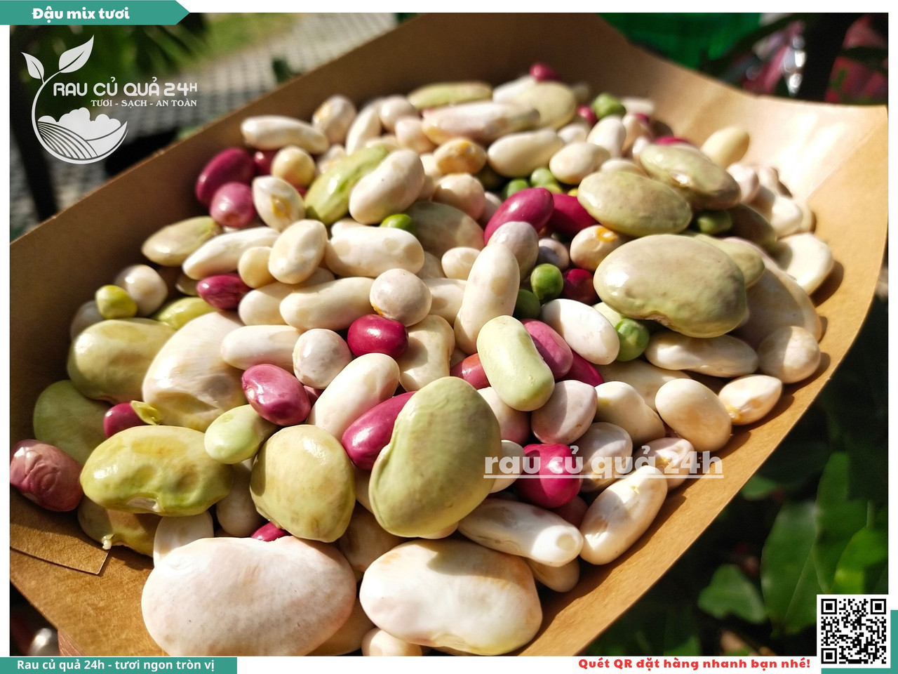 Đậu Mix Tươi 16