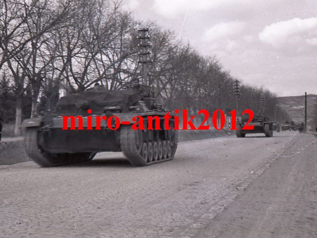 Foto, Negativ, Stug, Sturmgeschütz auf dem Vorma