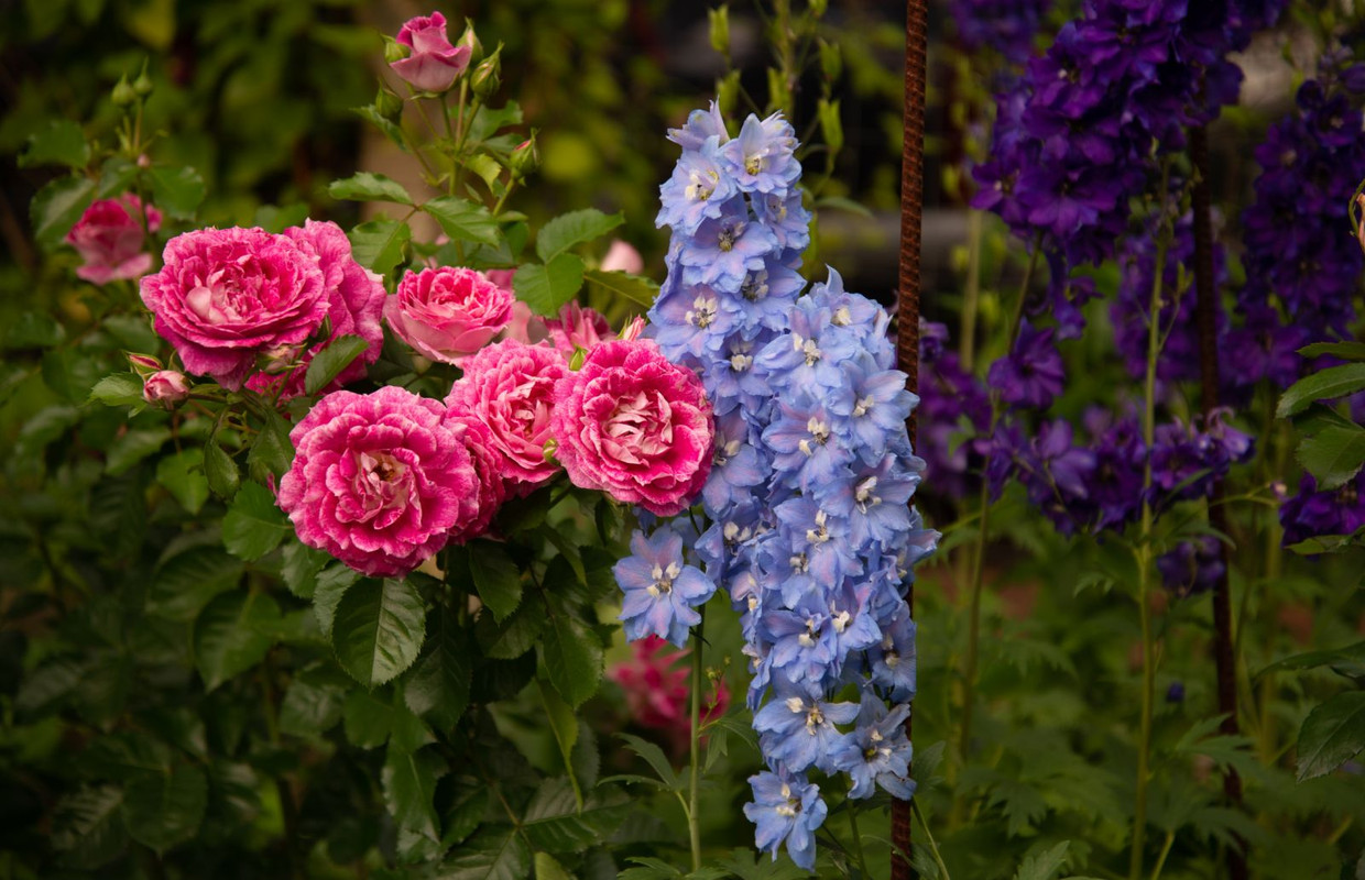 IMG-d89383b0cf180c7a141901cb644e78e6-V