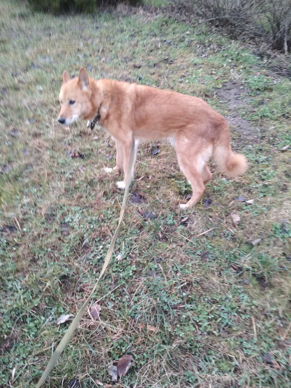 изображение_viber_2020-02-14_17-28-33