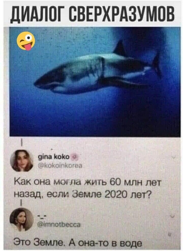 https://i.postimg.cc/pT1t2nkk/scale-2400-48.jpg
