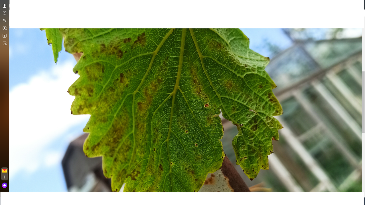 Безымянный11