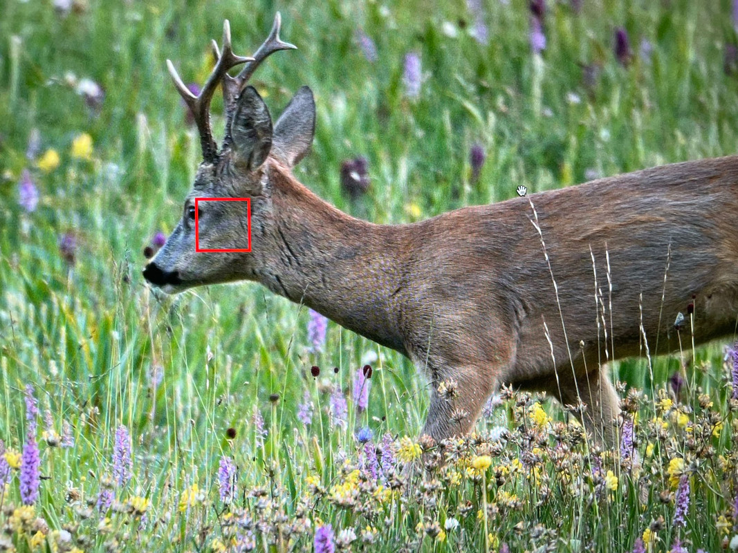 E93F3B58-42CE-4EE0-A129-690773752E14