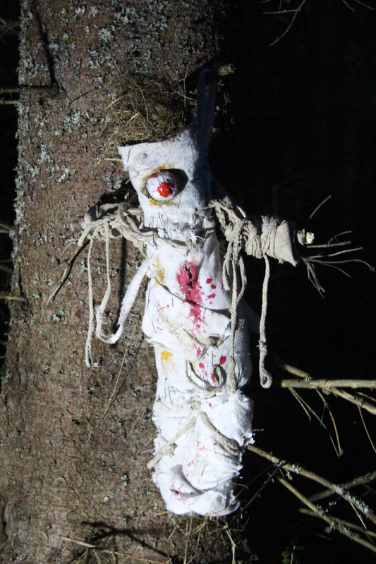 IMG_7146 - копия