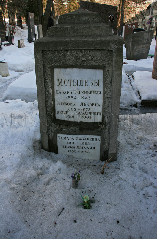 motyleva-tl