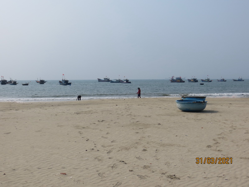 [Image: IMG-8279-resize.jpg]