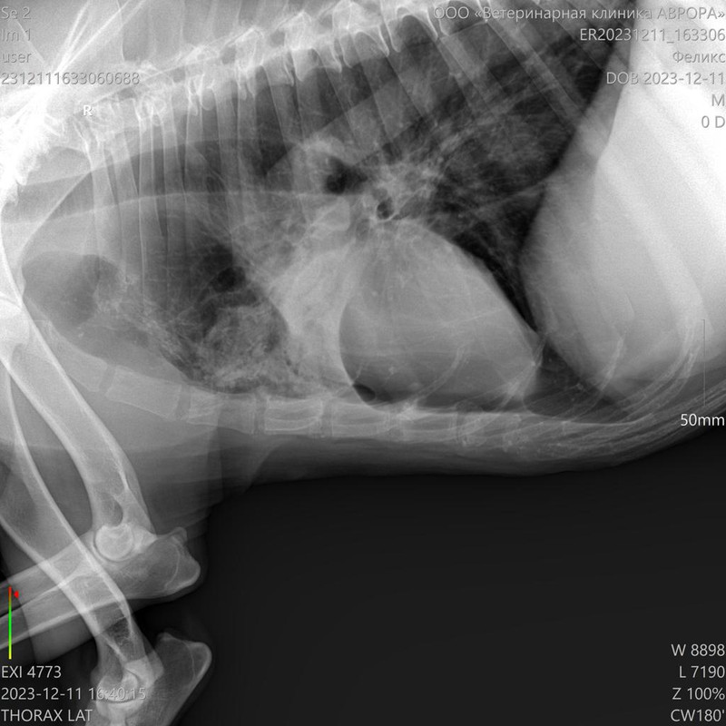 IMG-20231212-WA0013