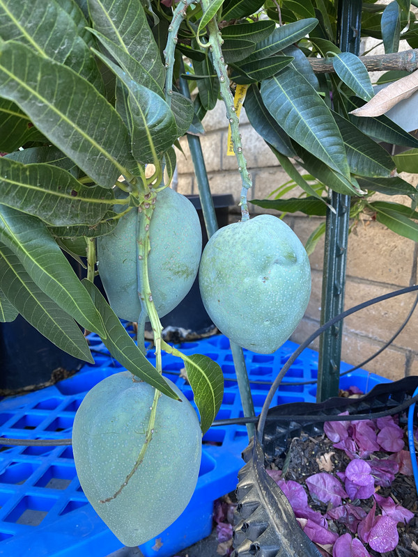 CE2EB831-A785-4B7E-BE5C-863D53B6B762