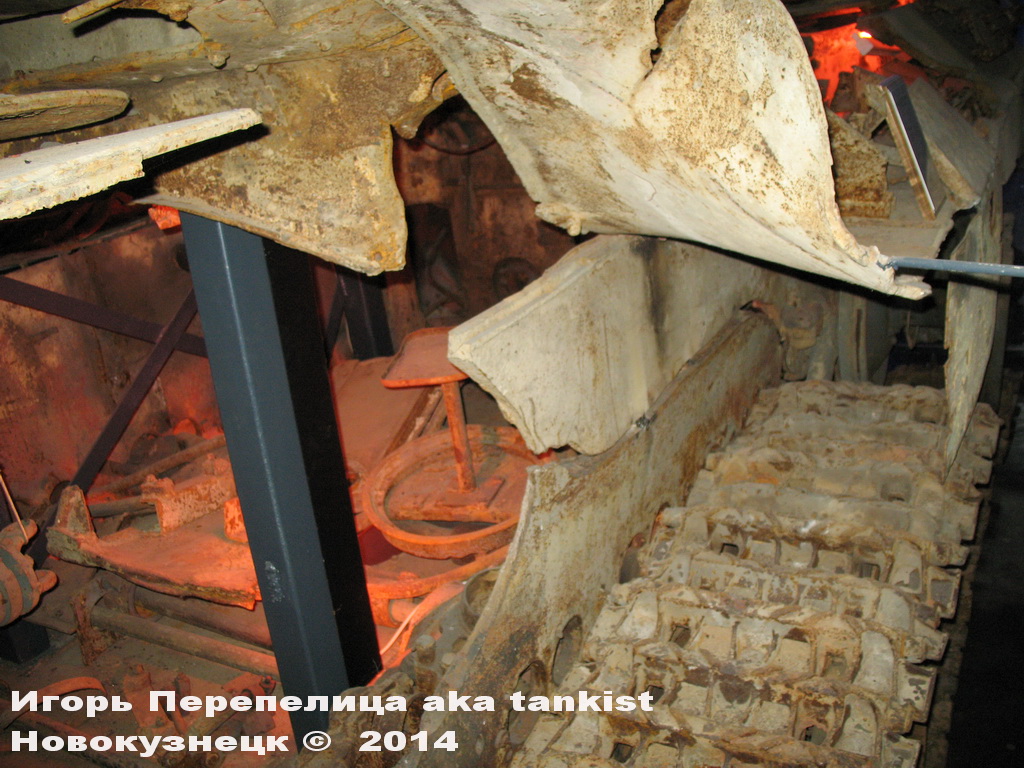 Panther_Sinsheim_127