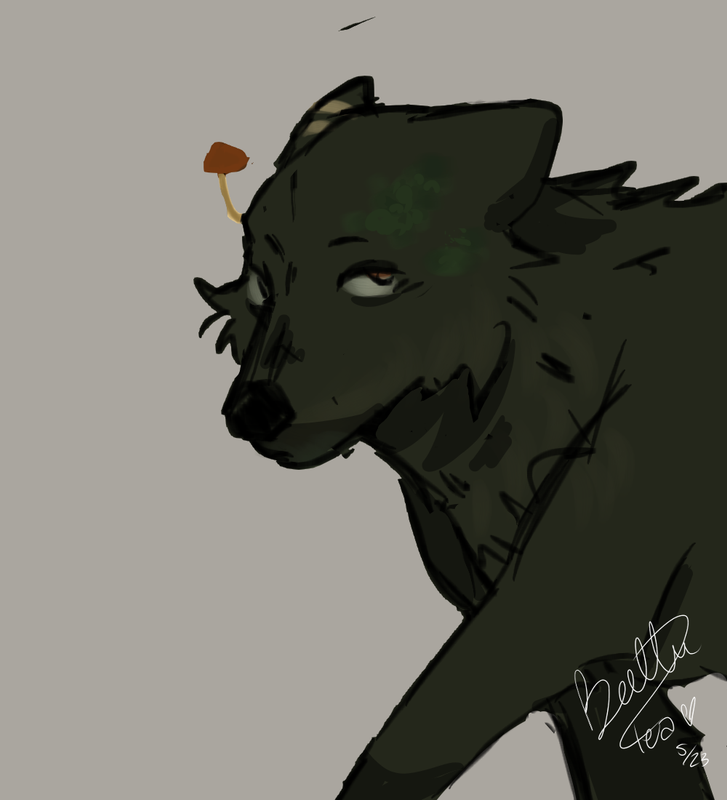 otso-dtoaby.png