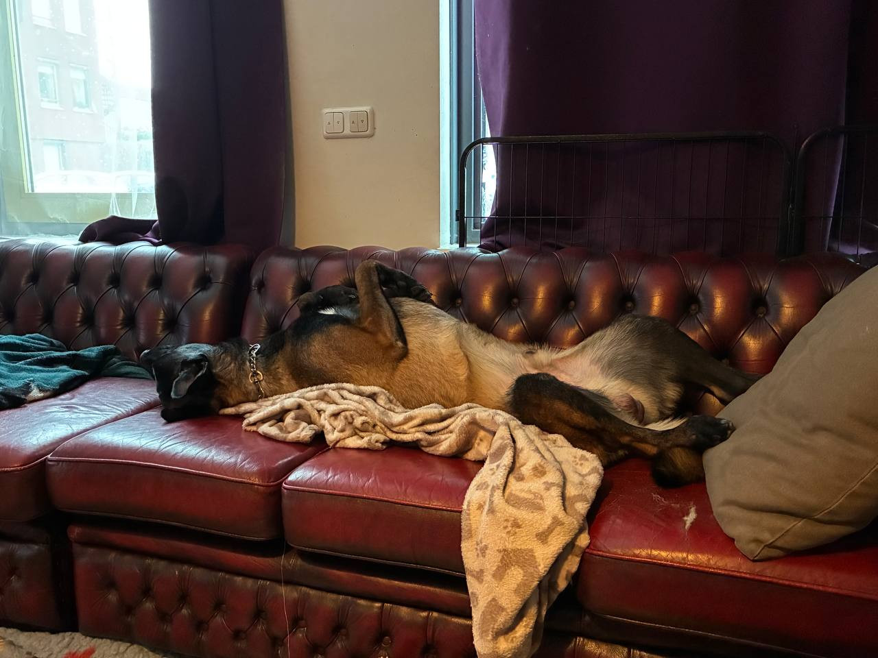 photo 2026 01 12 10 32 39