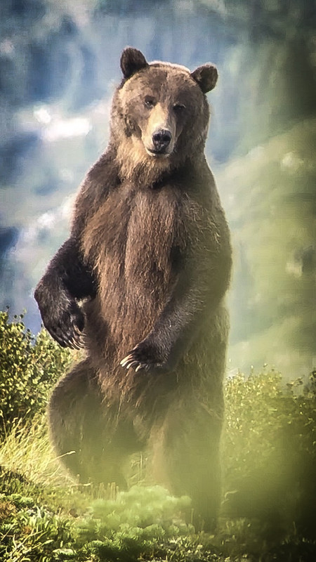49F8F0B6-0629-4E6E-9B36-47A61932965D