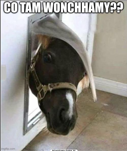 [Obrazek: image.png]