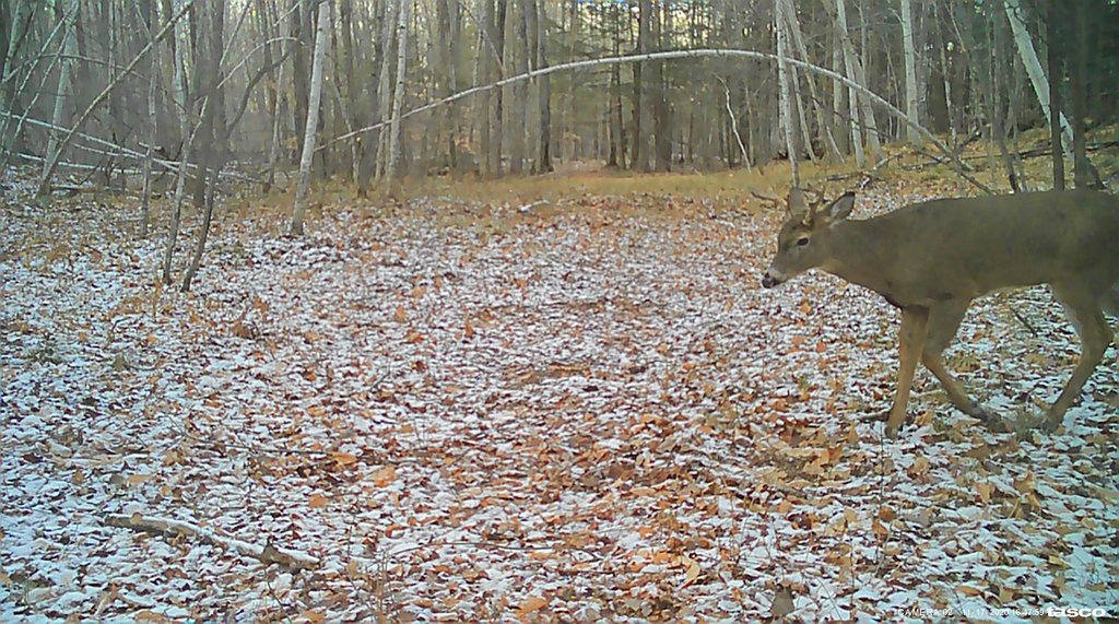 5BADC4DE-19A8-404C-B27C-AEA40B25BF24