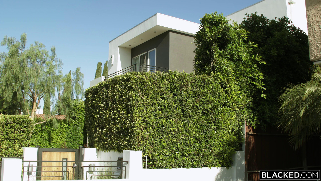 vlcsnap-2023-08-31-02h56m36s138