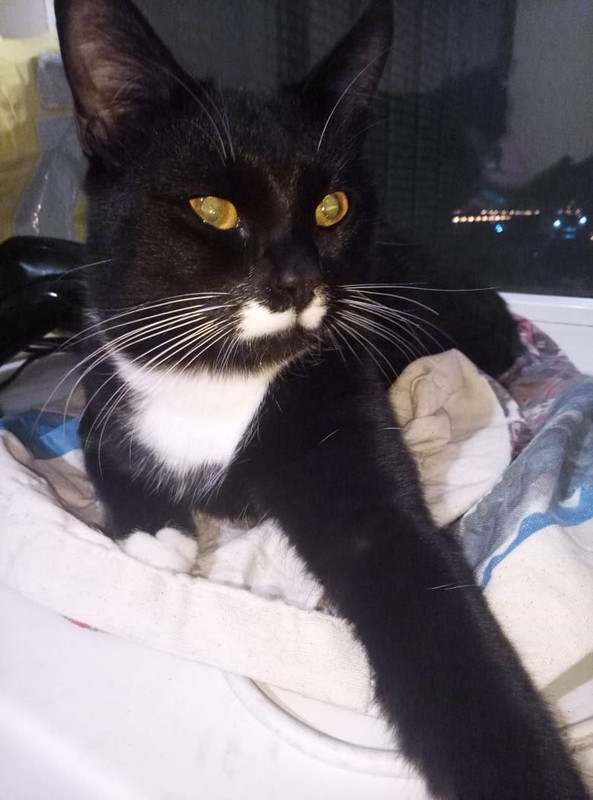 1706334D-E957-4F72-976D-F87585F5A5B7