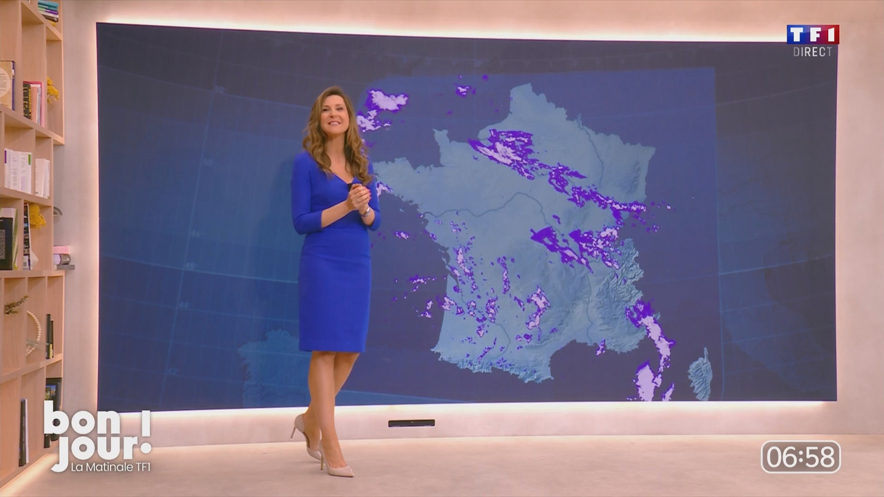 Bonjour Daniela 120525.mp4_snapshot_00.08.54.420
