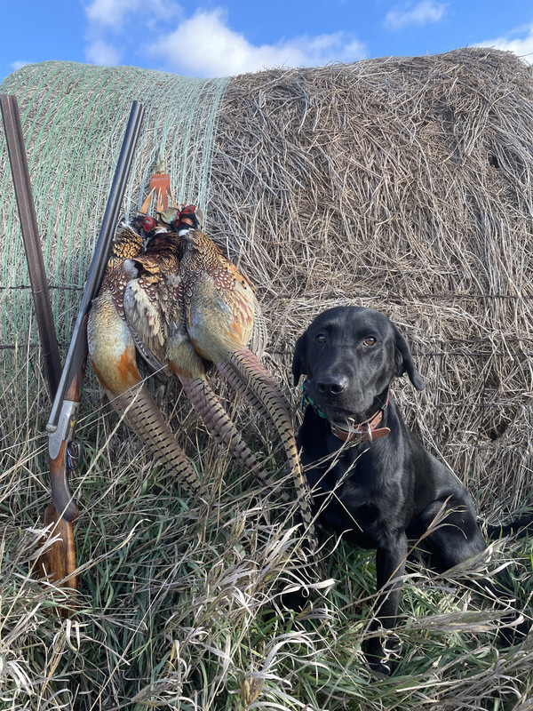 blQDadj QPqmj0gYTf985A