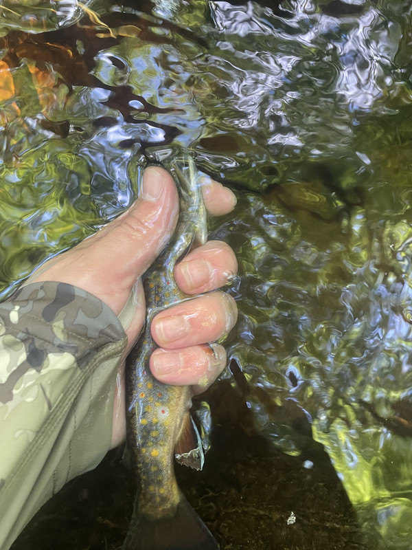 F03C8200-13FF-419A-B627-A9A1A302A36D