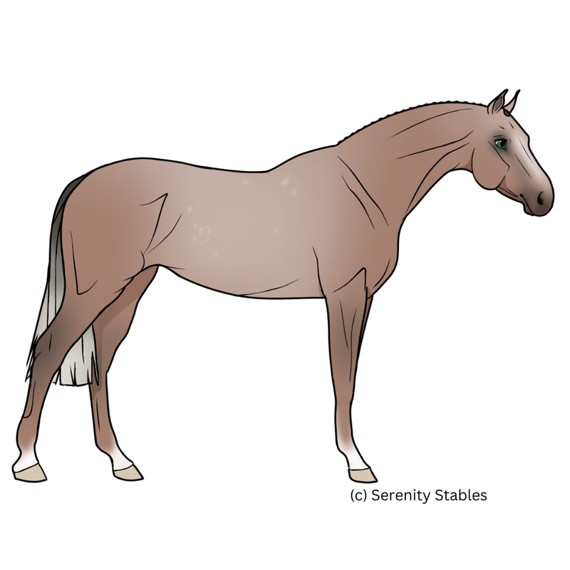 c-Serenity-Stables-7.png