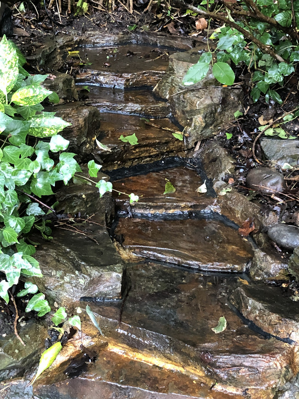 FA27E39D-B708-4870-A0DF-1E1D8B6ECCE0