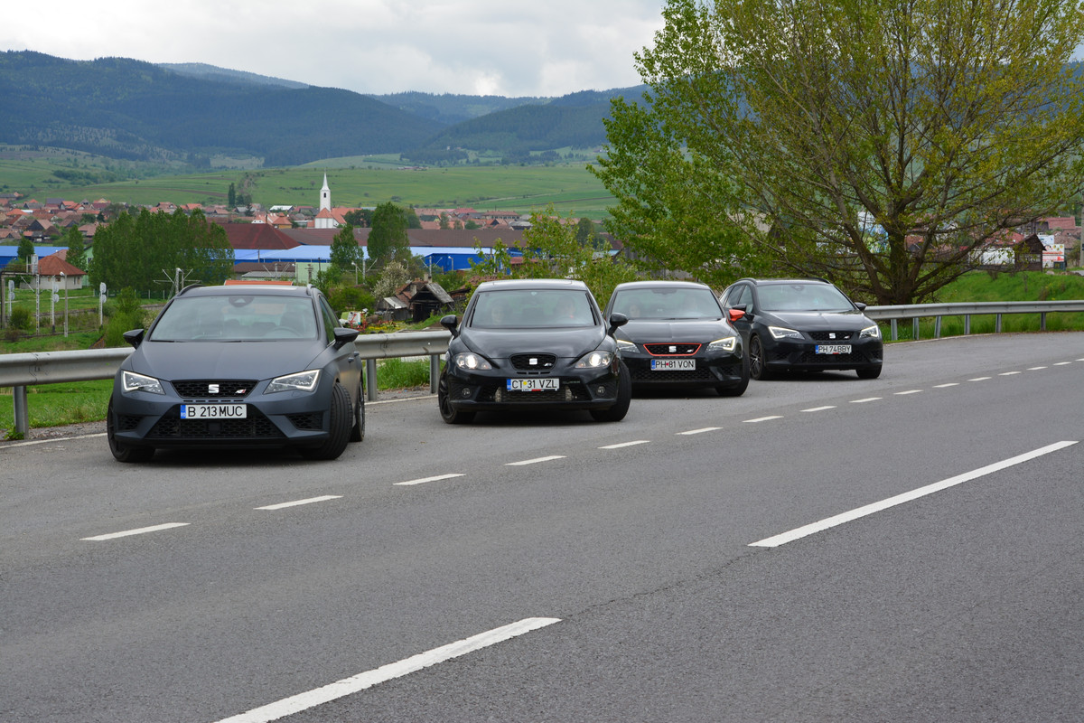 DSC_0172 (1)