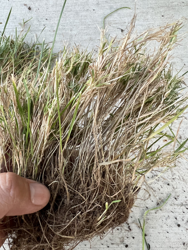 7C8D30D4-BA60-48CE-A535-22F6CC952C68