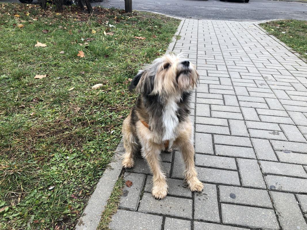 7B7A9415-5C1C-4132-BFB8-3C321707AE50