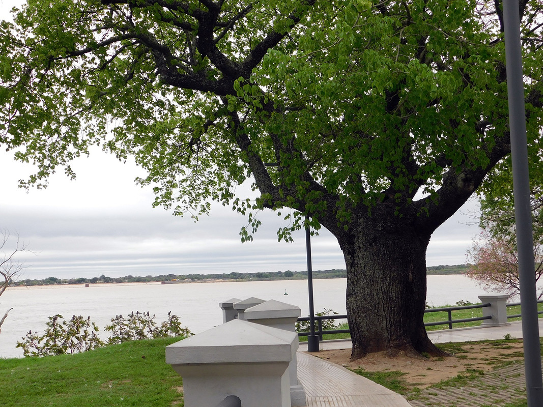 DSCN1406.jpg