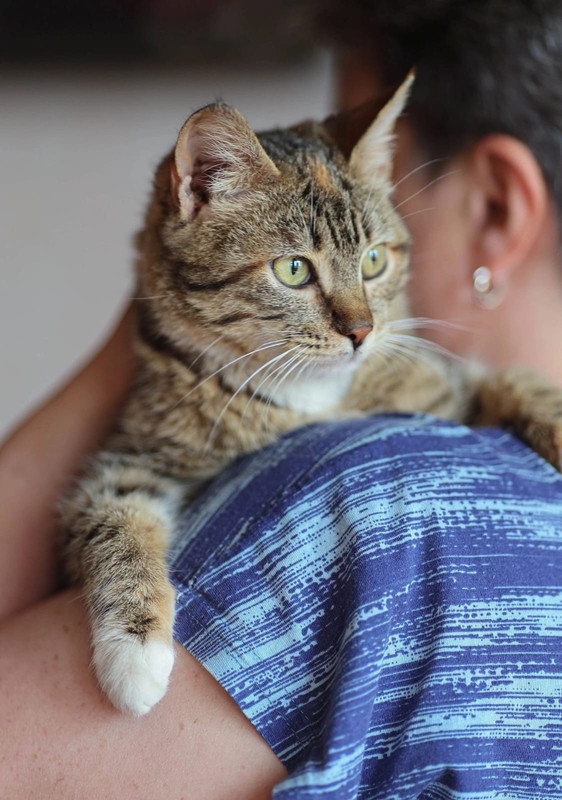 Изображение WhatsApp 2024-09-09 в 10.40.51_e439bb3b