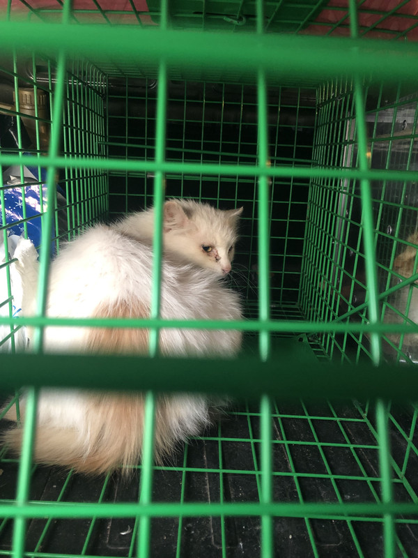 2B4DF00A-30F6-4851-8AB9-AE6E3C3430D6