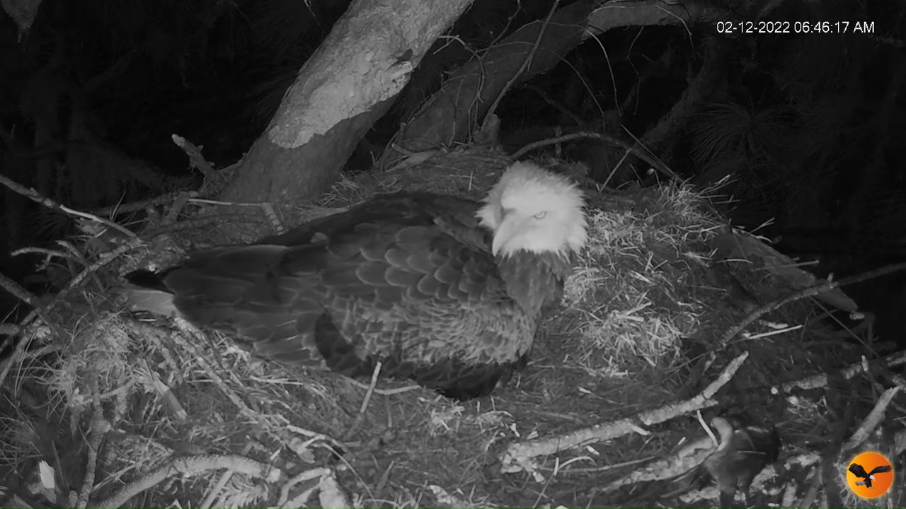 EC 4K Overhead Cam 12-28-18 screenshot