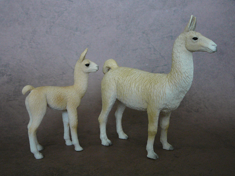 Mojö 2019 Llama and Cria- a walkaround by A.R.Garcia P1090604ed