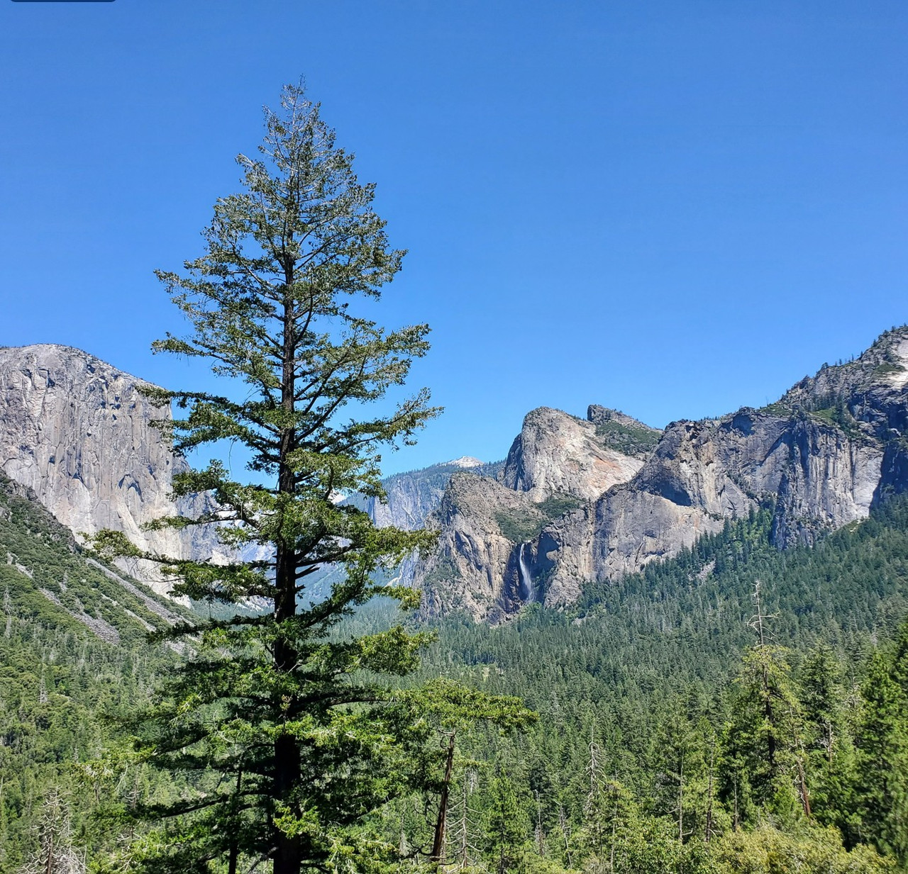 [Image: 260625YNP140921.jpg]
