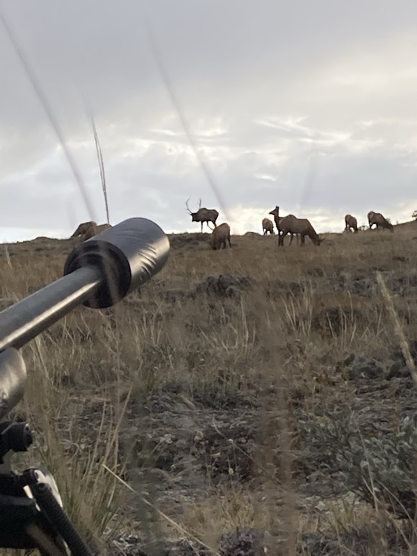 68C5849A-360D-480A-B45F-F480D352B131