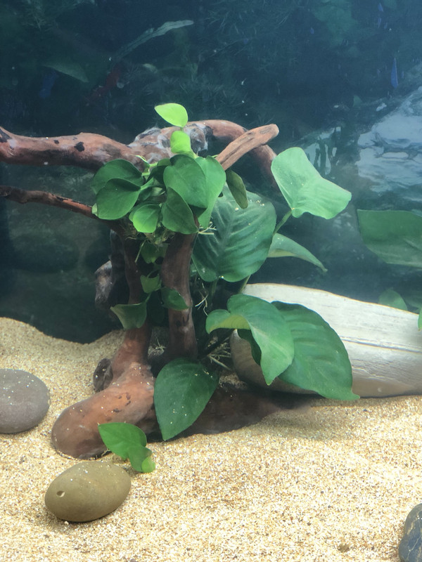 F235E44A-8D43-4D55-A385-F8DDFF5BCAFF