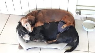 [Image: received-931852037205759.jpg]