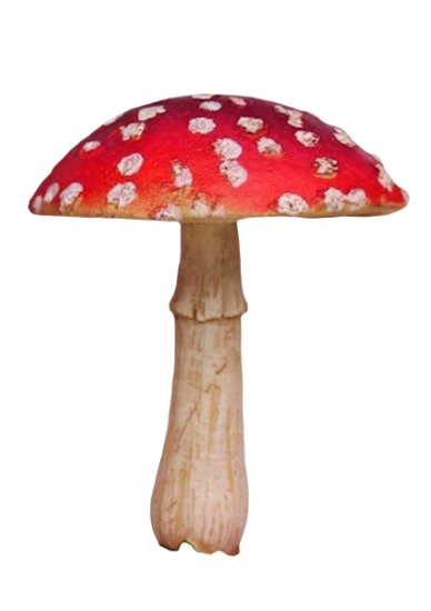 Mariposa_Kit_110