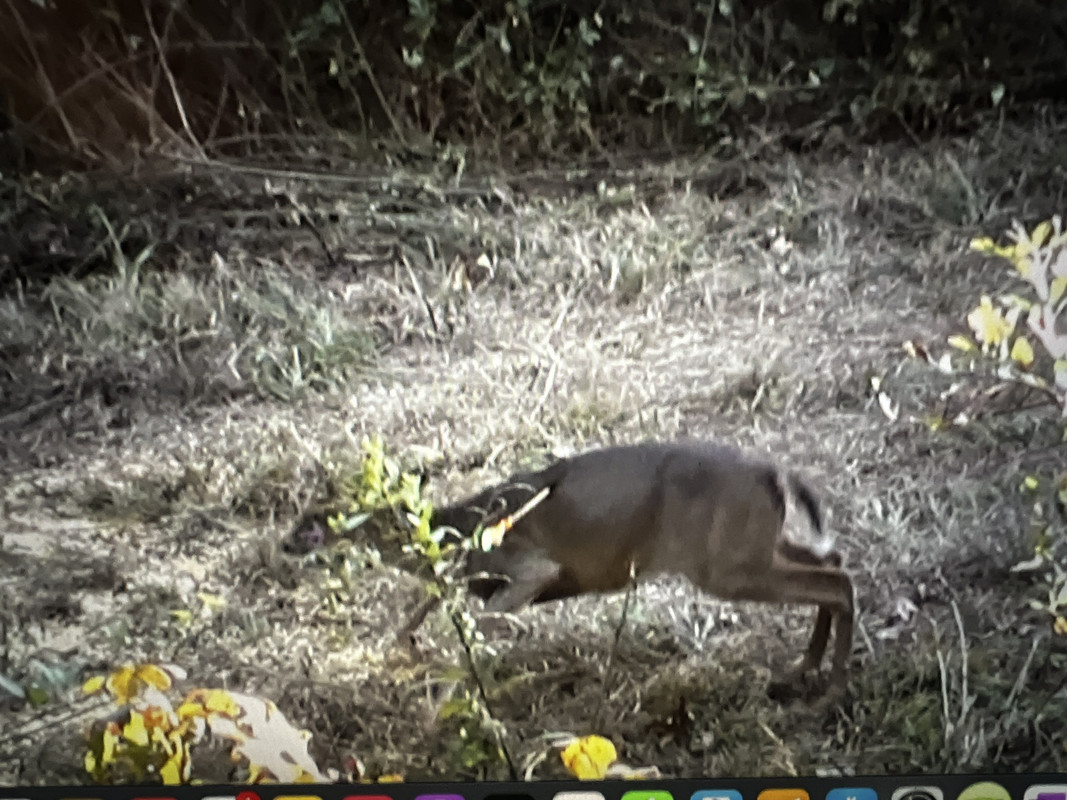 F6B4E13F-8E05-4CB1-92FD-2132186A57AD