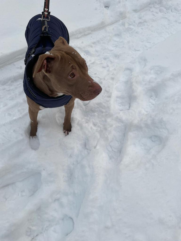 140BECC8-2930-43AA-9D6E-001EA157BC87