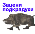 https://i.postimg.cc/pT76b4L1/sticker2.png