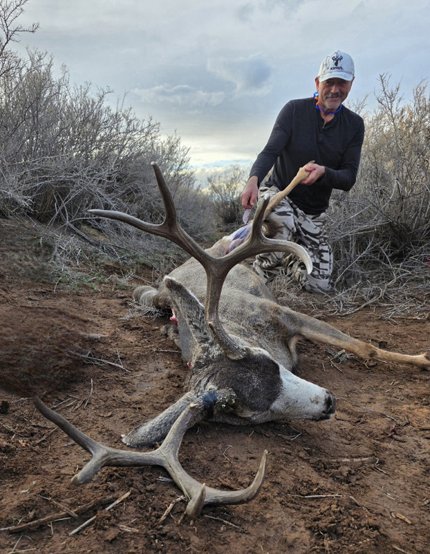 Screenshot 20260321 204015 Gallery