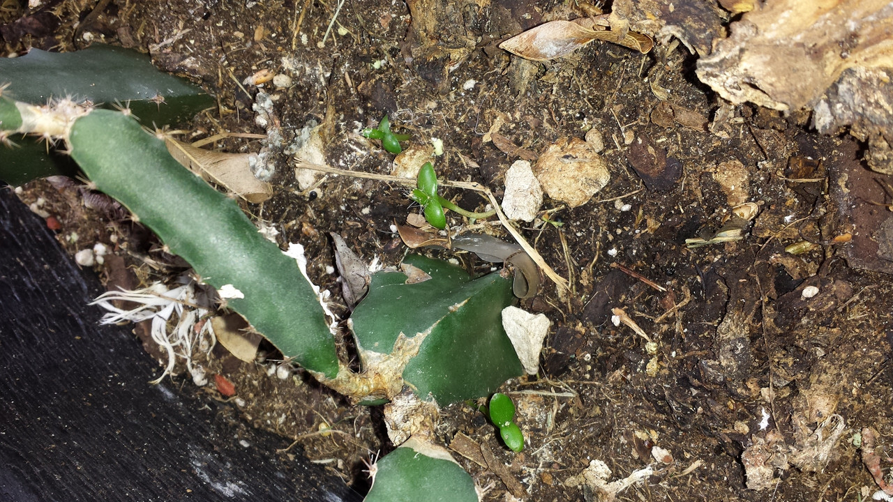 20131123_133004 (2560x1440)