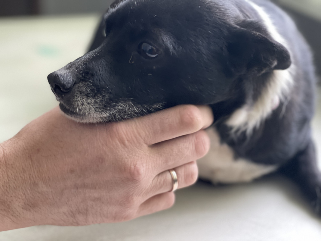 98ACC713-7E5E-4FE0-87BA-DE49A6275D4D