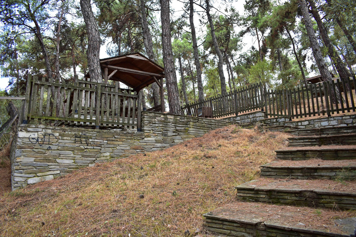 Άλσος της Παναγούδας (11)