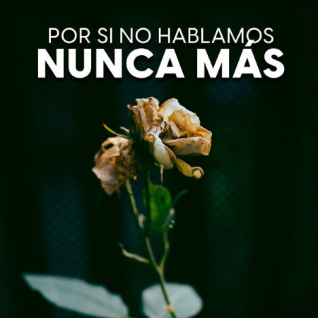 abd03a7b 55c3 471c a6ce b4eaa546fba0 - VA - Por si no hablamos nunca mas (2023)