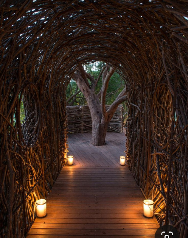 Screenshot_20240508_230713_Pinterest